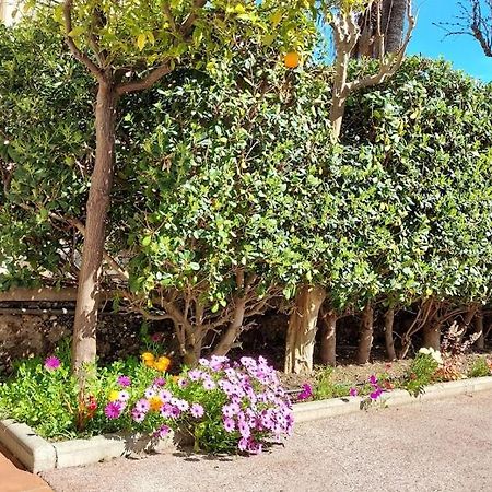 Rez-de-chaussée privatif spacieux 3* d'une villa centre ville Hyères Exterior foto