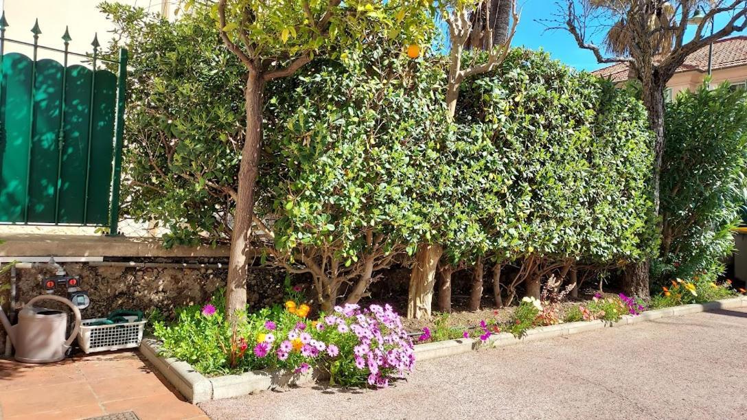 Rez-de-chaussée privatif spacieux 3* d'une villa centre ville Hyères Exterior foto
